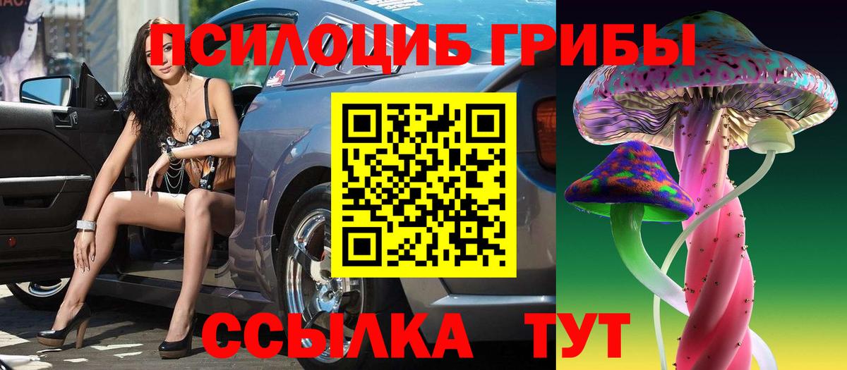 Рассказово  Галлюциногенные грибы Magic Shrooms  Псилоцибиновые грибы ЛСД  Вход с VPN 