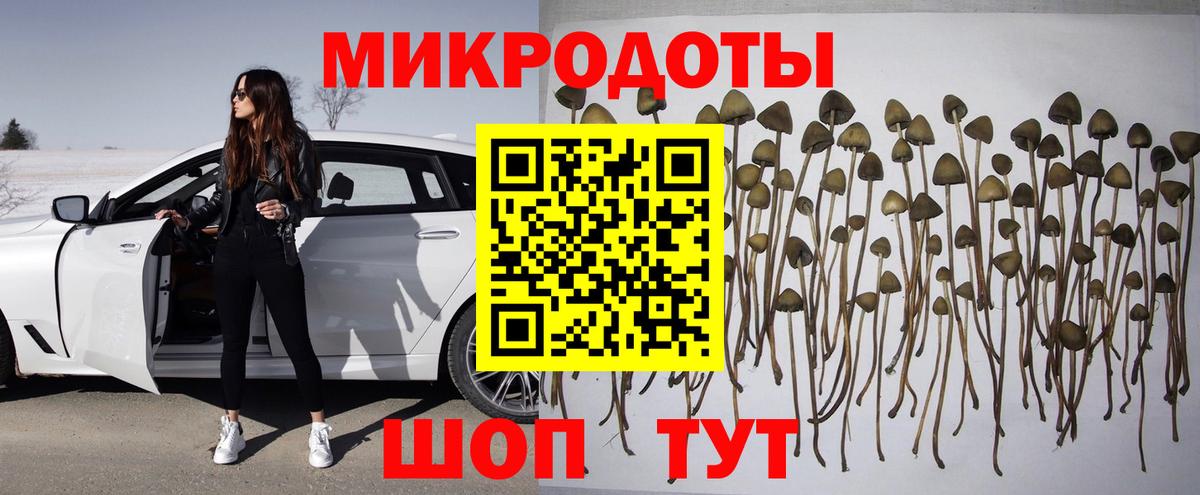 Псилоцибиновые грибы прущие грибы Рассказово